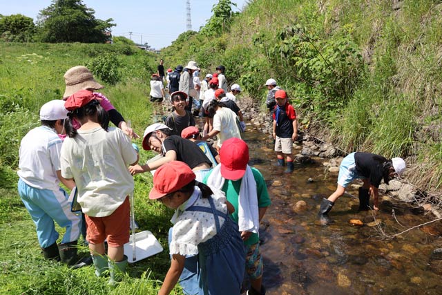 田上小学校4年生が才歩川で水質調査