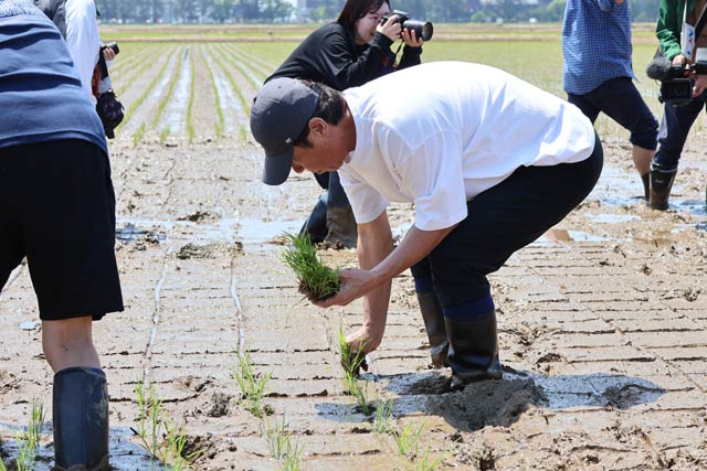 初めての田植えに挑戦