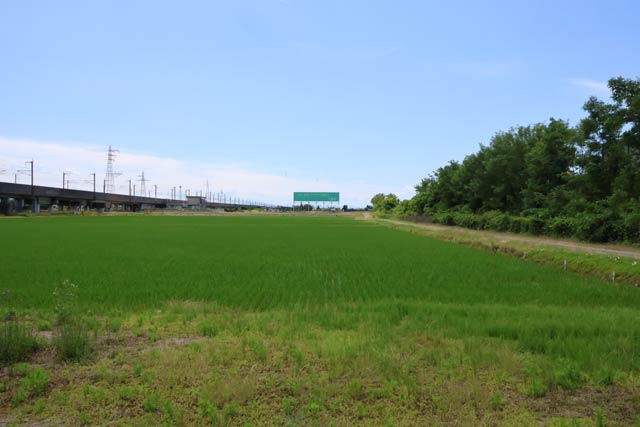 左の上越新幹線、右の北陸自動車道にはされた看板には絶好のロケーション左の上越新幹線、右の北陸自動車道にはされた看板には絶好のロケーション