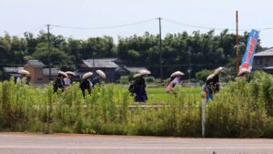 4日の三条市は9日ぶりの真夏日31.5度