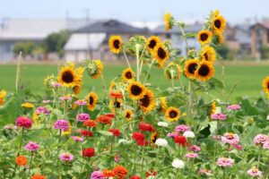 19日の三条市