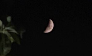20日夜の月