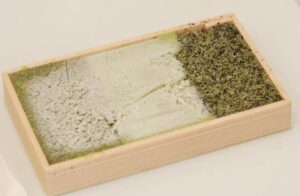 「幻の枝豆」が三色だんごに　弥彦産茶豆の新名物誕生　老舗「御菓子司 羽入」が製造、「赤福級」の定番土産目指す