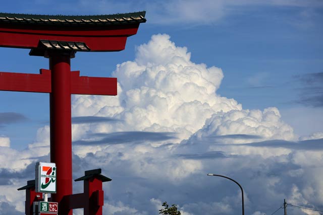 弥彦村の大鳥居と入道雲のような力強い白い雲
