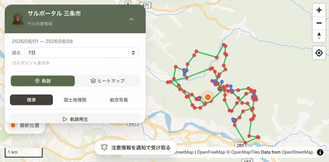 加茂市がGPS首輪を装着したサルの群れが2025年6月に三条市柳沢に現れた