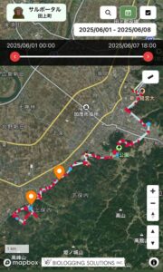 三条地区に現れたサルの群れは田上町がGPSをつけたサルの一群か