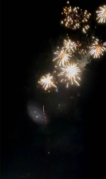 次々と上がる花火に歓声