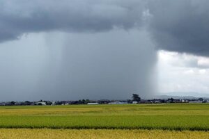 不安定な天気で下田地区では短時間に激しい雨も
