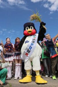 つば九郎が2年ぶりに来燕　スワローズライスファームの稲刈りに高津臣吾さんも春の田植えに続いて参加、約400人でにぎわう