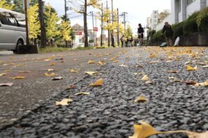 三条市で今季最低の最高気温15.4度　前日から5.4度急降下　県内の山沿いでは雪も